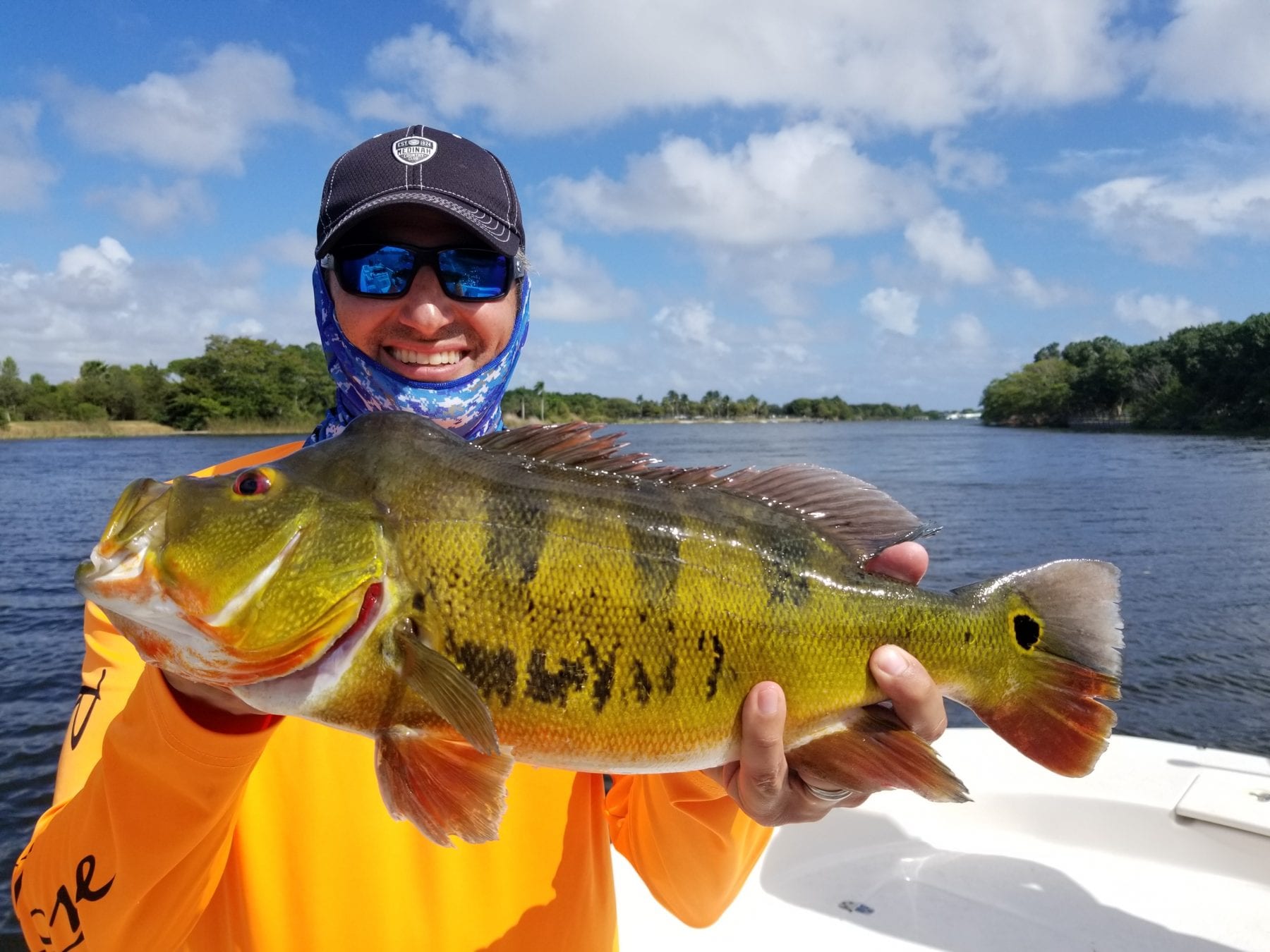 Evan With A Solid Peacock 