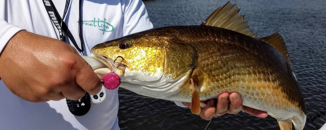 Road Trip Fishing Biloxi Marsh Louisiana Coastal Angler And The