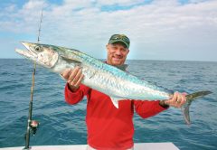 Follow The Fall King Mackerel Migrations