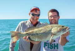 Gag Grouper Season Open in Gulf 4-County Region