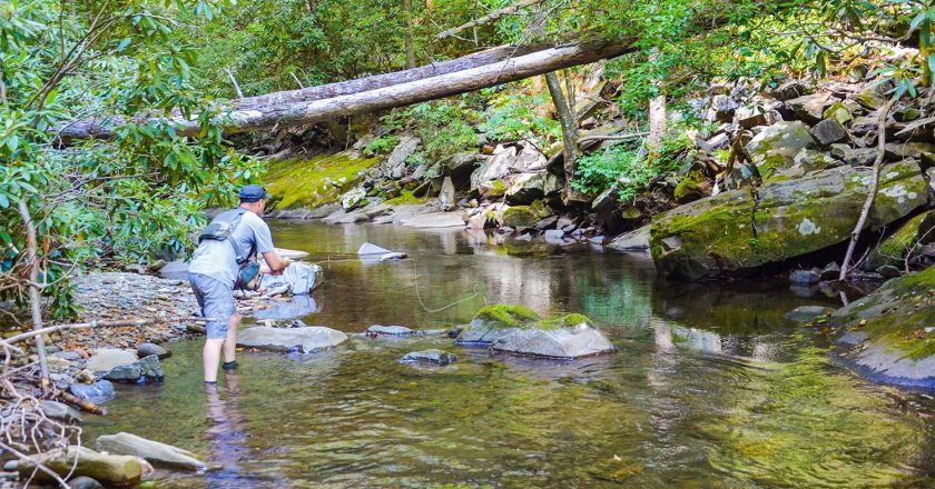 Delayed Harvest Trout Waters Open