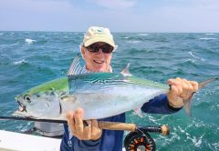 Montauk’s False Albacore Mayhem