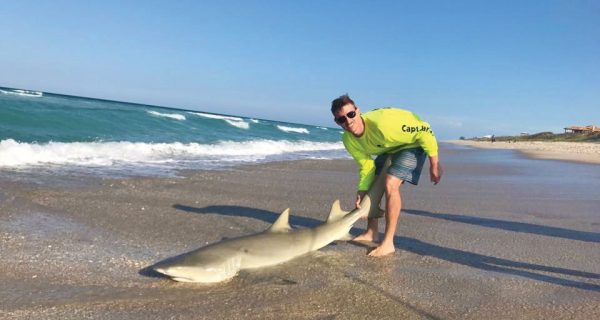 FWC Mulling New Regs For Land-Based Shark Fishing