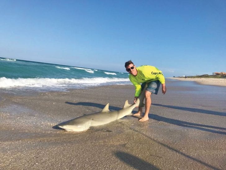 FWC Mulling New Regs For LandBased Shark Fishing Coastal Angler