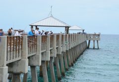 Line of Anglers on the Pier | Photo courtesy of Loggerhead Marine Life Center