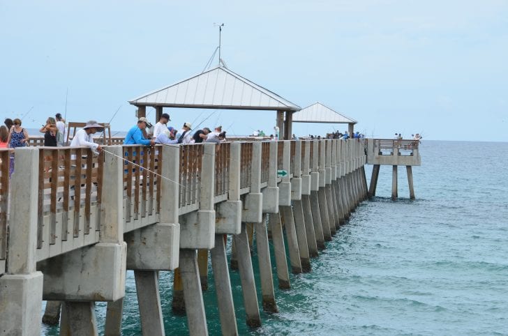 Line of Anglers on the Pier | Photo courtesy of Loggerhead Marine Life Center