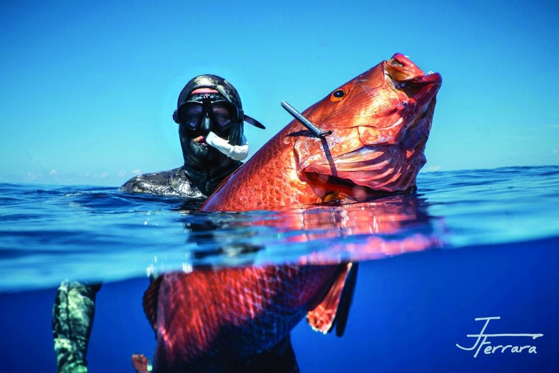 Freedive spearfishing