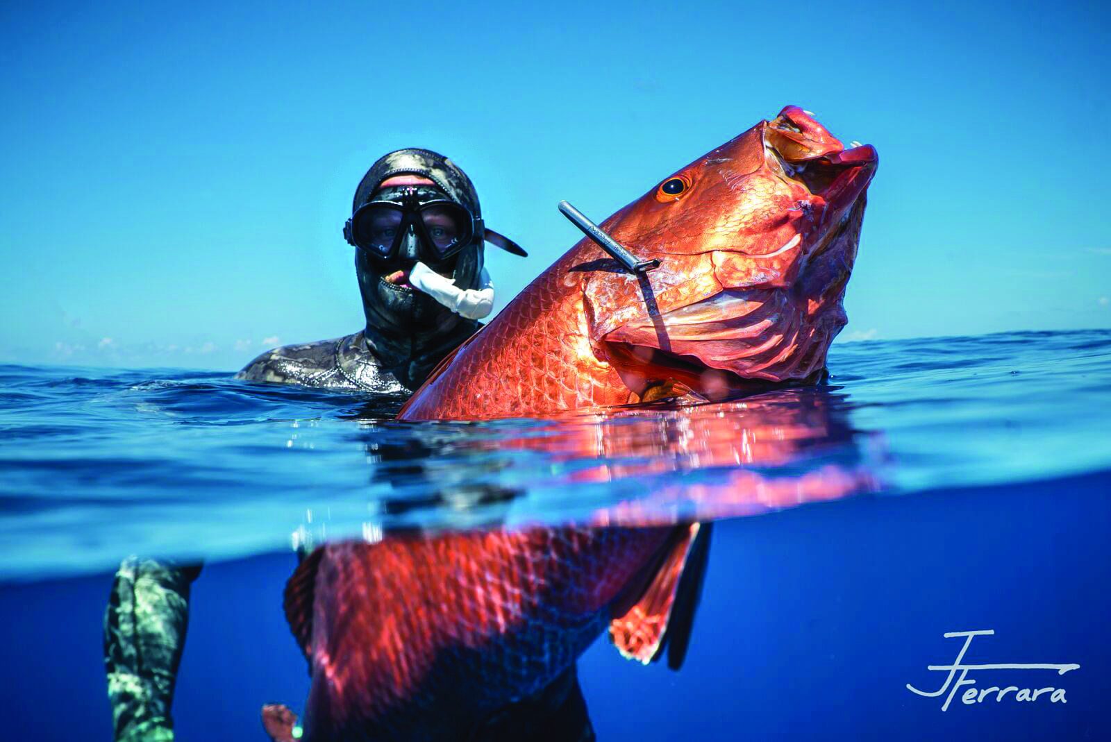 Freediver Spears World Record Snapper - Coastal Angler & The