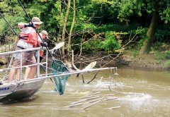 Asian Carp Deterrent To Be Tested At Kentucky’s Barkley Dam