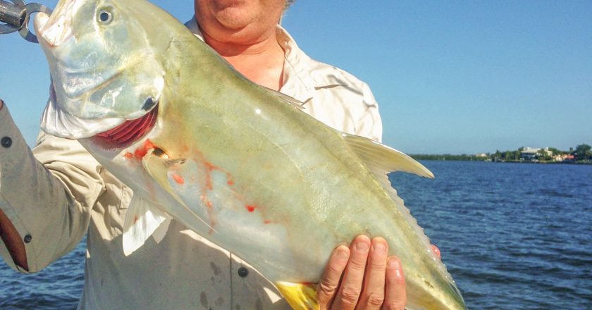 Fall Fishing in the South Indian River Lagoon and St. Lucie