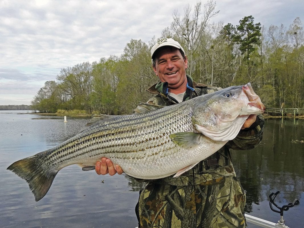 Santee Cooper Lakes South Carolina - Coastal Angler Magazine