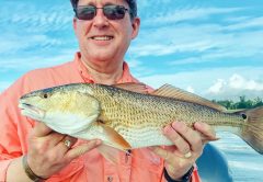 St Louis, MS Fishing Forecasts