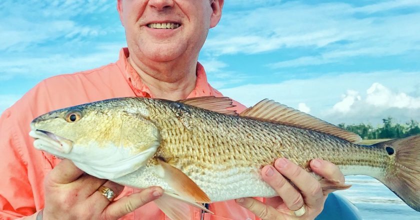 St Louis, MS Fishing Forecasts
