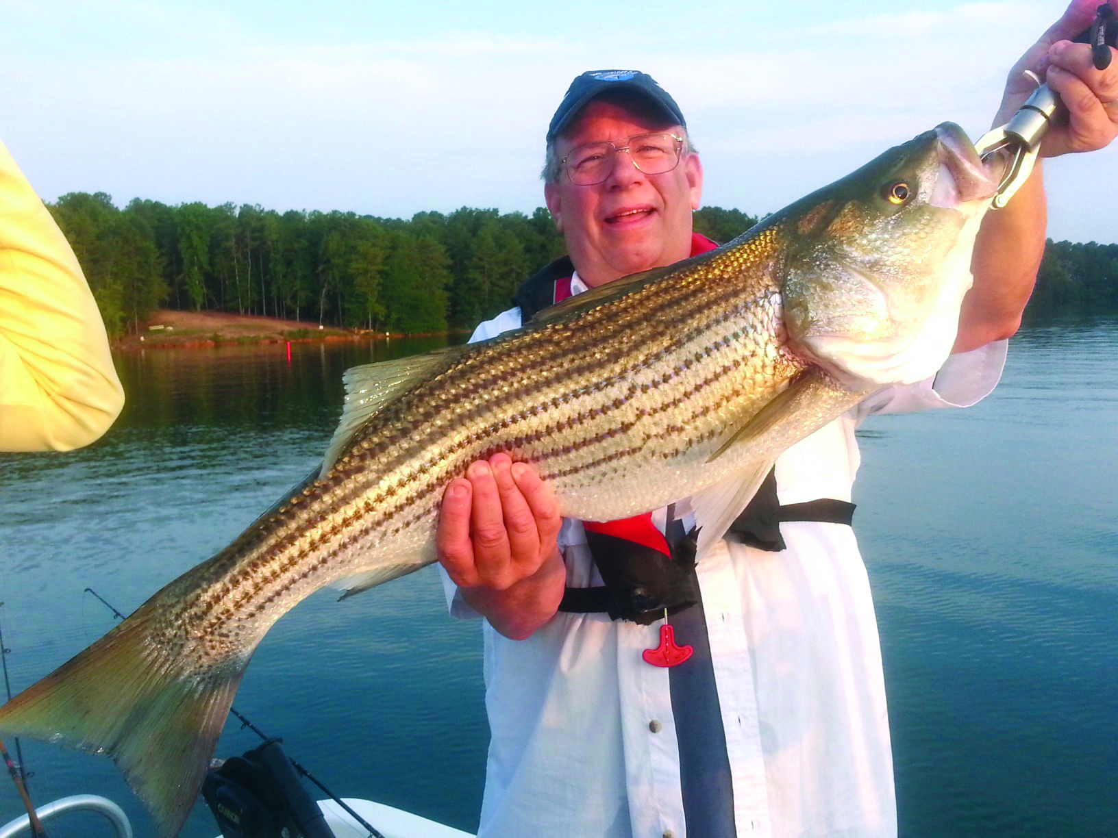 Swim Bait Stripers At Lake Lanier #lakelanierfishing2022 