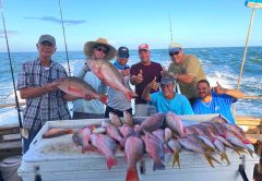 Fort Pierce snappers