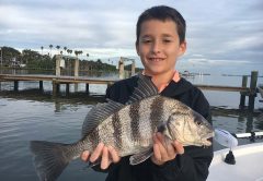 Indian River Fishing - black drum