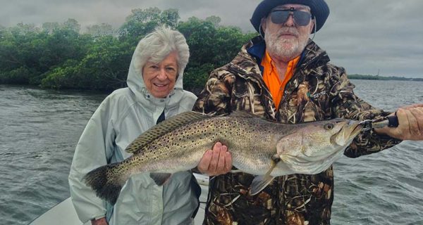 Sebastian inshore gator trout