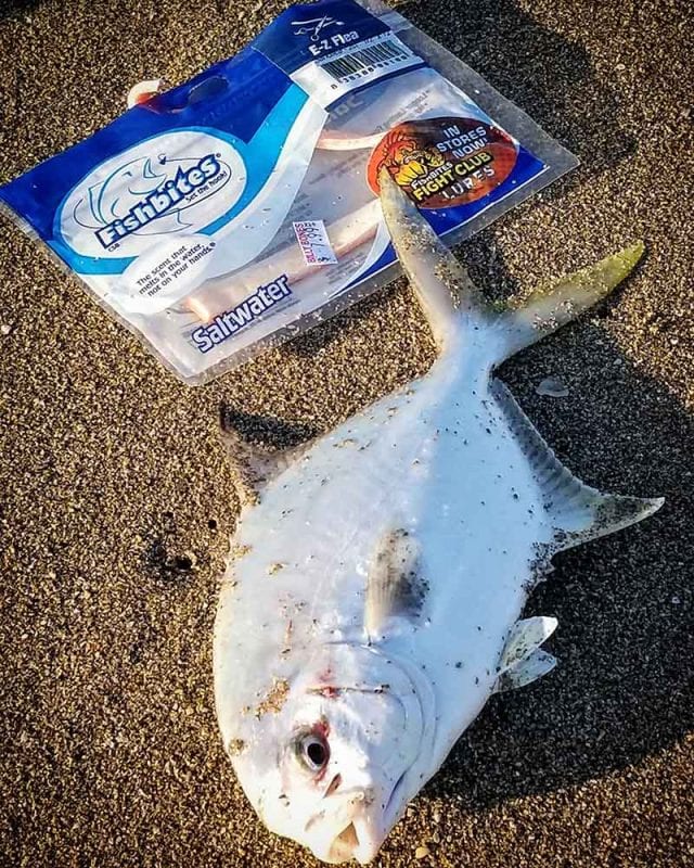 Stuart fla beach pompano