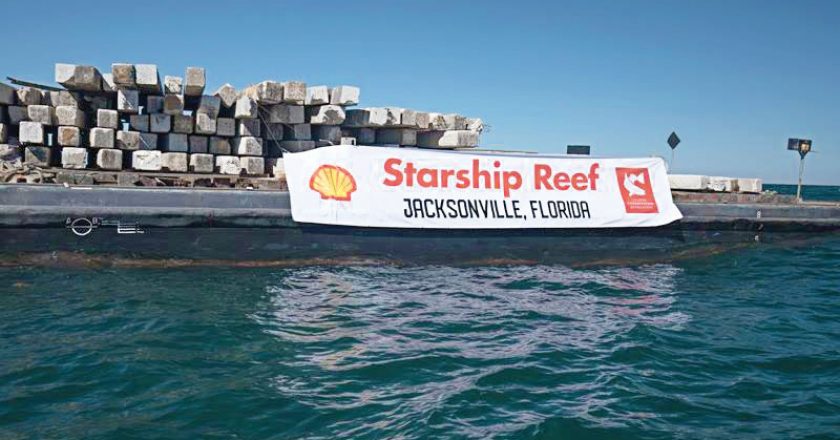 Jacksonville Shell Starship Reef Completes Journey