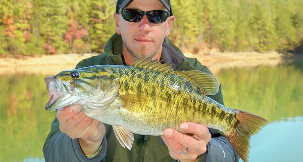 Slow Down A Ned Rig For Sluggish Bass
