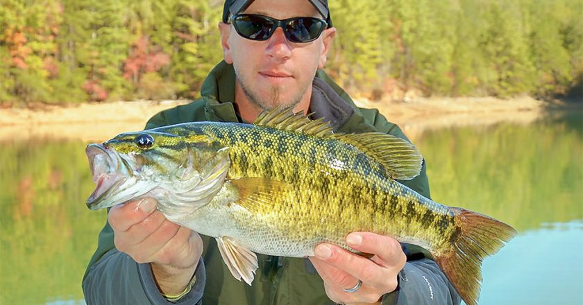 Slow Down A Ned Rig For Sluggish Bass
