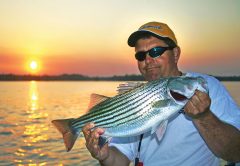 Lake Moultrie & Lake Marion December Stripers