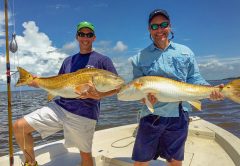 South Carolina Red Drum Shows Up 21 Years Later