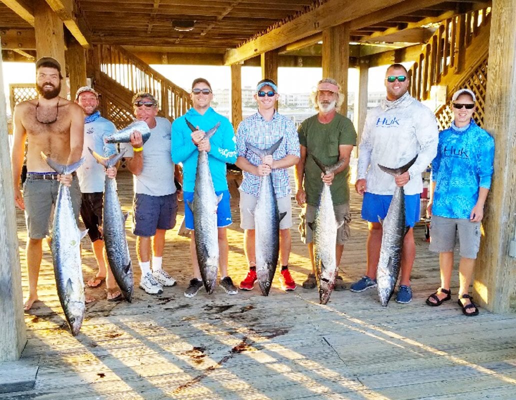 Folly Pier News King Mackerel Run Coastal Angler & The Angler Magazine