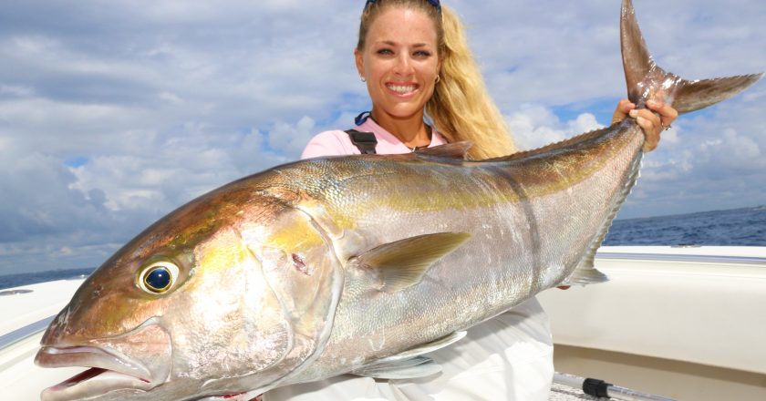 Darcizzle caught a big amberjack on a live goggle eye bump trolling out of Palm Beach