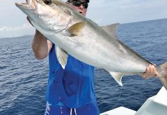 Nice amberjack caught with Nomad Fishing Charters.