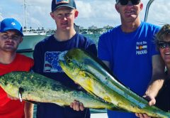 Keep your eyes open for schoolies this month.. ( dolphin)