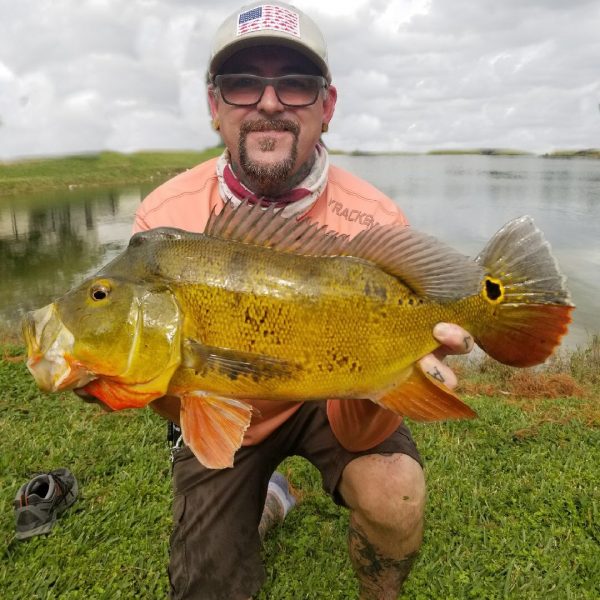 Kenny Collette with a 4 lb peacock bass on live bait