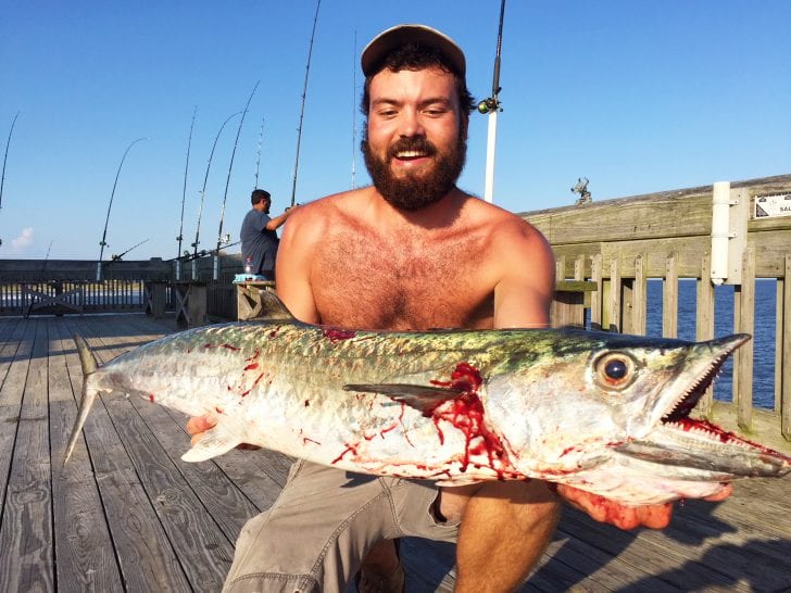 King mackerel run has pier, kayak anglers on fire - Carolina Sportsman