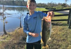 Large Mouth Bass caught in Western Lake Worth Canal