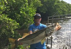 Neil McConnell at Lake Worth Spillway with 46 inch 32 lbs snook