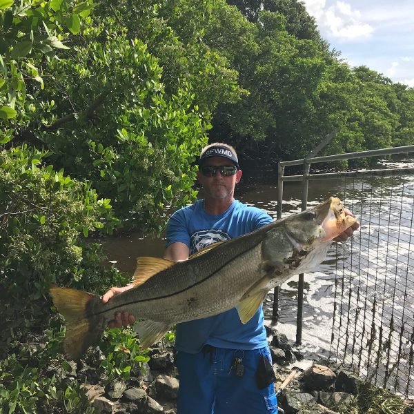 Neil McConnell at Lake Worth Spillway with 46 inch 32 lbs snook