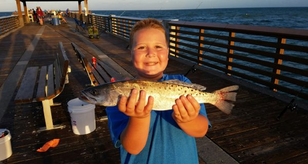 Juno Pier Fishing Reports - Coastal Angler & The Angler Magazine