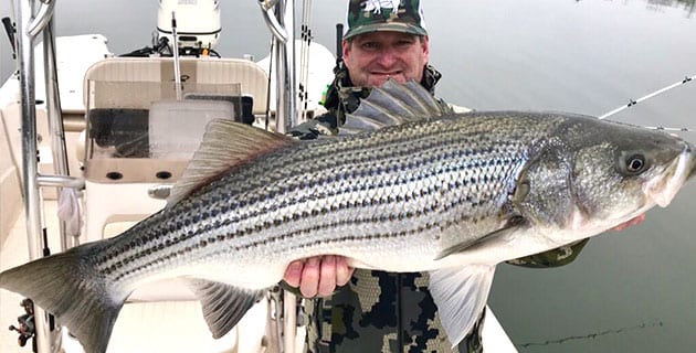 Lake Hiwassee Stripers - Coastal Angler & The Angler Magazine