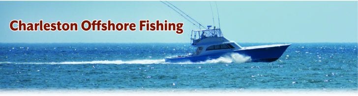 Free Spool Sportfishing, Boat Rental