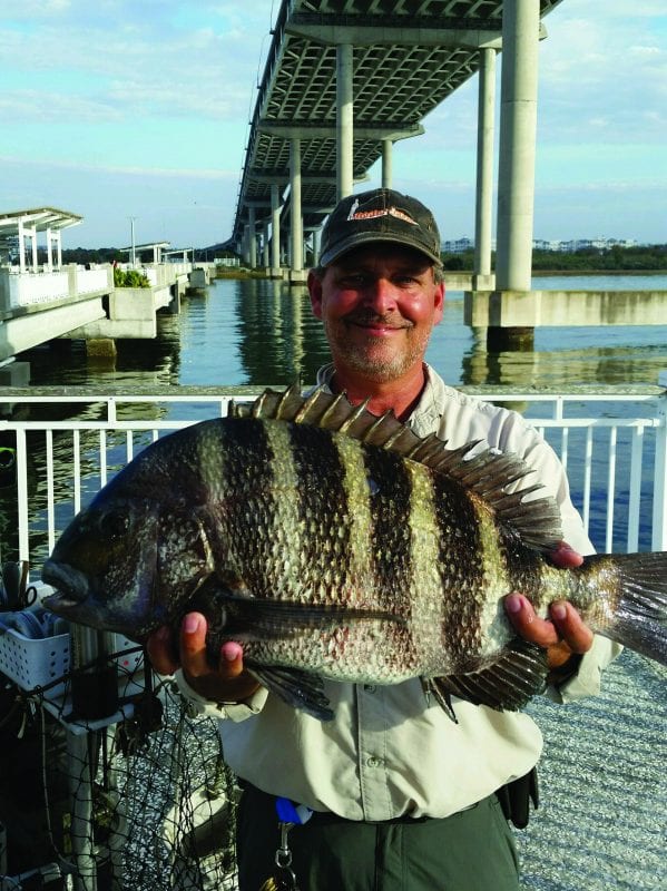 mount pleasant pier february fishing forecast coastal