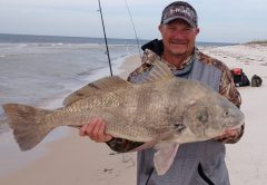 Bryan Rhyde shows off a big drum he caught at Fort Morgan.