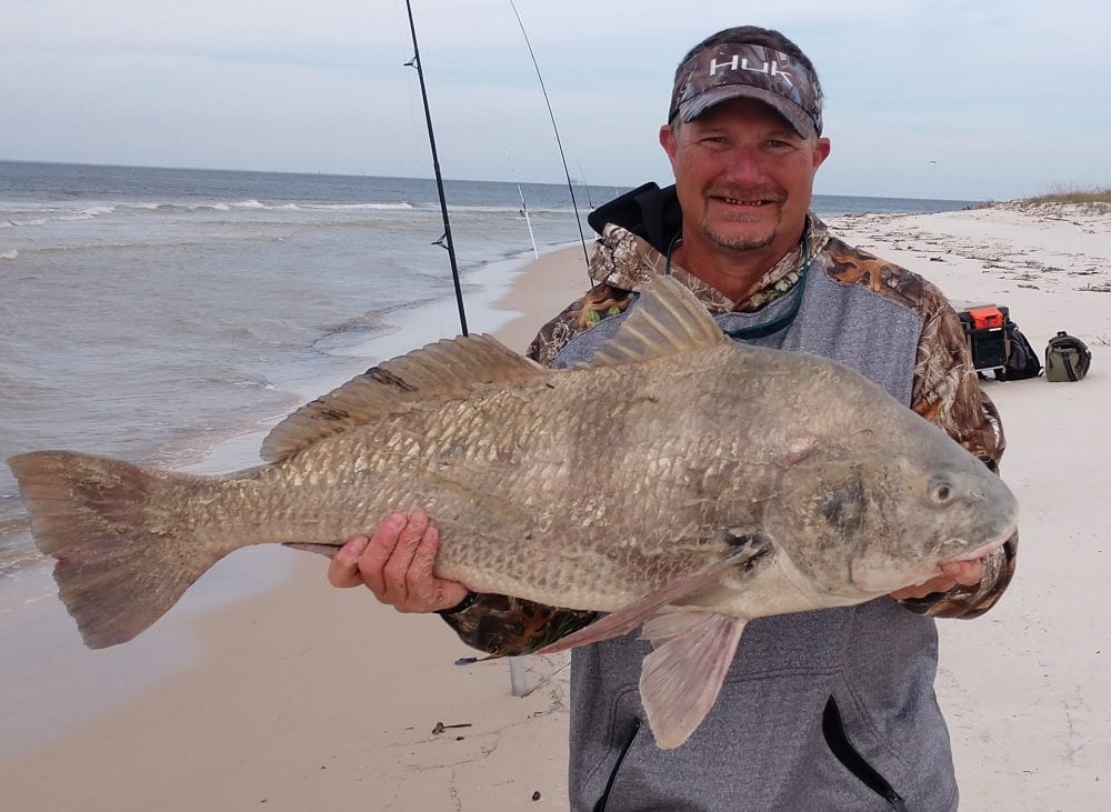 Bryan Rhyde shows off a big drum he caught at Fort Morgan.