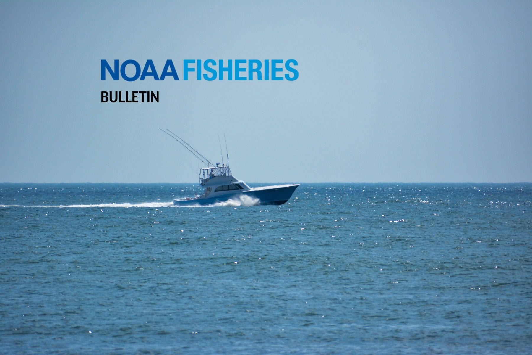 Request for Comments Proposed Rule to Revise Annual Catch Limits for