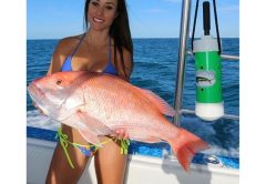 Luzia shows off a beautiful red snapper caught with the help of the The Chum Buddy. Check out: www.fishingwithluiza.com for more on this amazing lady angler.
