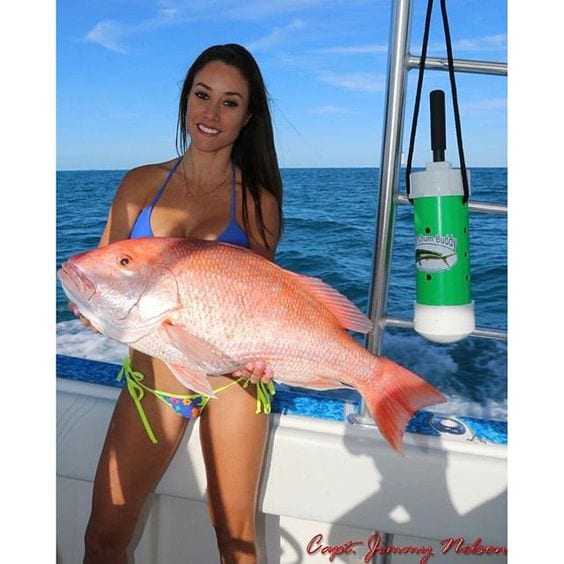 Luzia shows off a beautiful red snapper caught with the help of the The Chum Buddy. Check out: www.fishingwithluiza.com for more on this amazing lady angler.