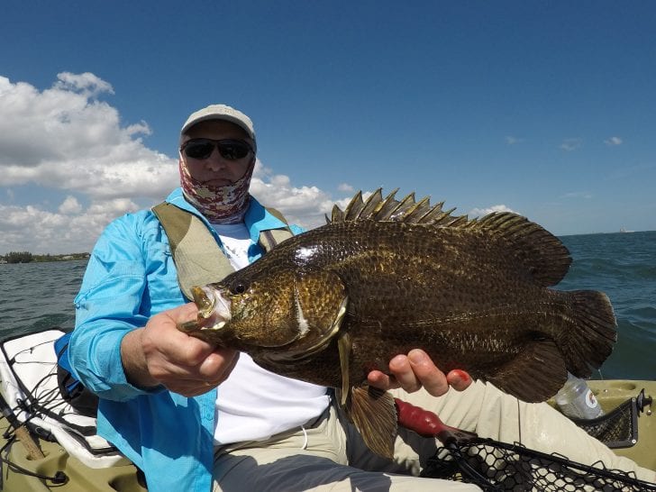 Nice Indian River tripletail