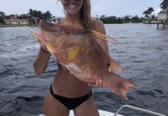 Secrets out Pompano is where it's at! Katrina Singleton of Jupiter is in Hog Heaven