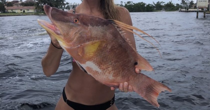 Secrets out Pompano is where it's at! Katrina Singleton of Jupiter is in Hog Heaven