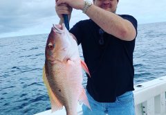 Slammer mutton snappers will be on the prowl... Tight lines!