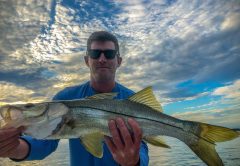 Tommy with snook.